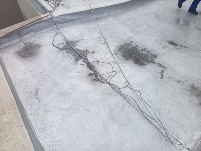 622303261_1352718343536500_2927271338890805044_n