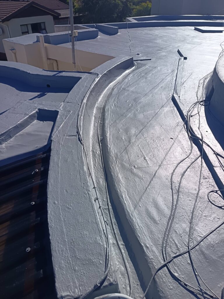 637993668_1370259611782373_1769609263071695325_n